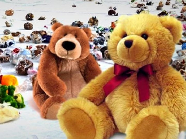 Teddy Bear Toss Il 22 Dicembre Nel Match Con Giulianova